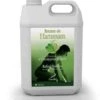 Brume De Hammam Eucalyptus 5 Litres 1 Brume De Hammam Eucalyptus 5 Litres -Produits D'entretien 80243.600